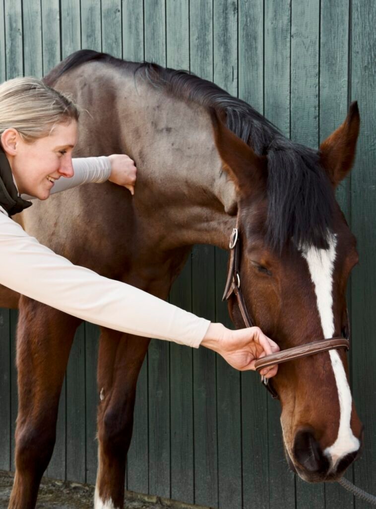 Tierärztin Sara Tadken bei der chiropraktischen Behandlung der Halswirbelsäule eines Pferdes.