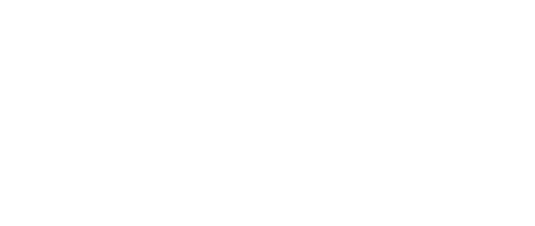 Logo Sara Tadken Chiropraktik für Pferde