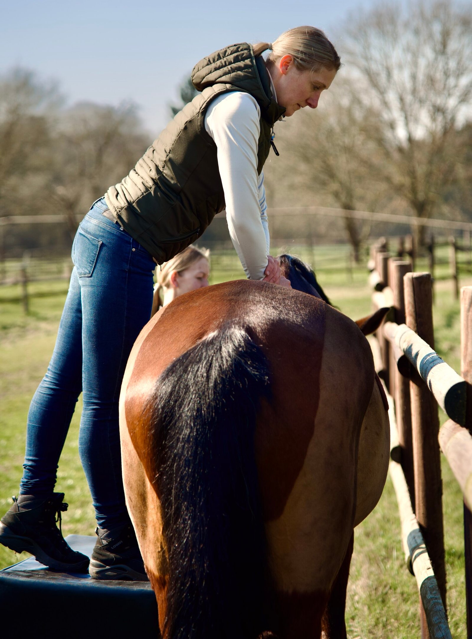 chiro pferd sara tadken outside blue